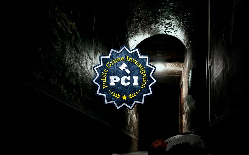 PCI Public Crime Investigation cover