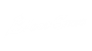 Blood Strike