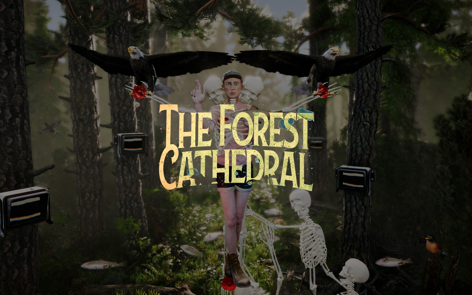 The Forest Cathedral