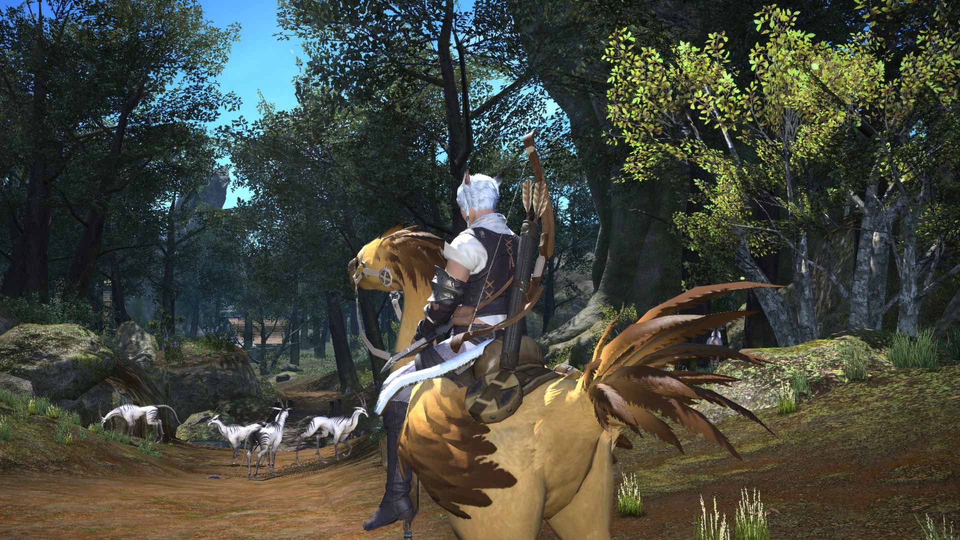 Final fantasy xiv online starter edition что входит