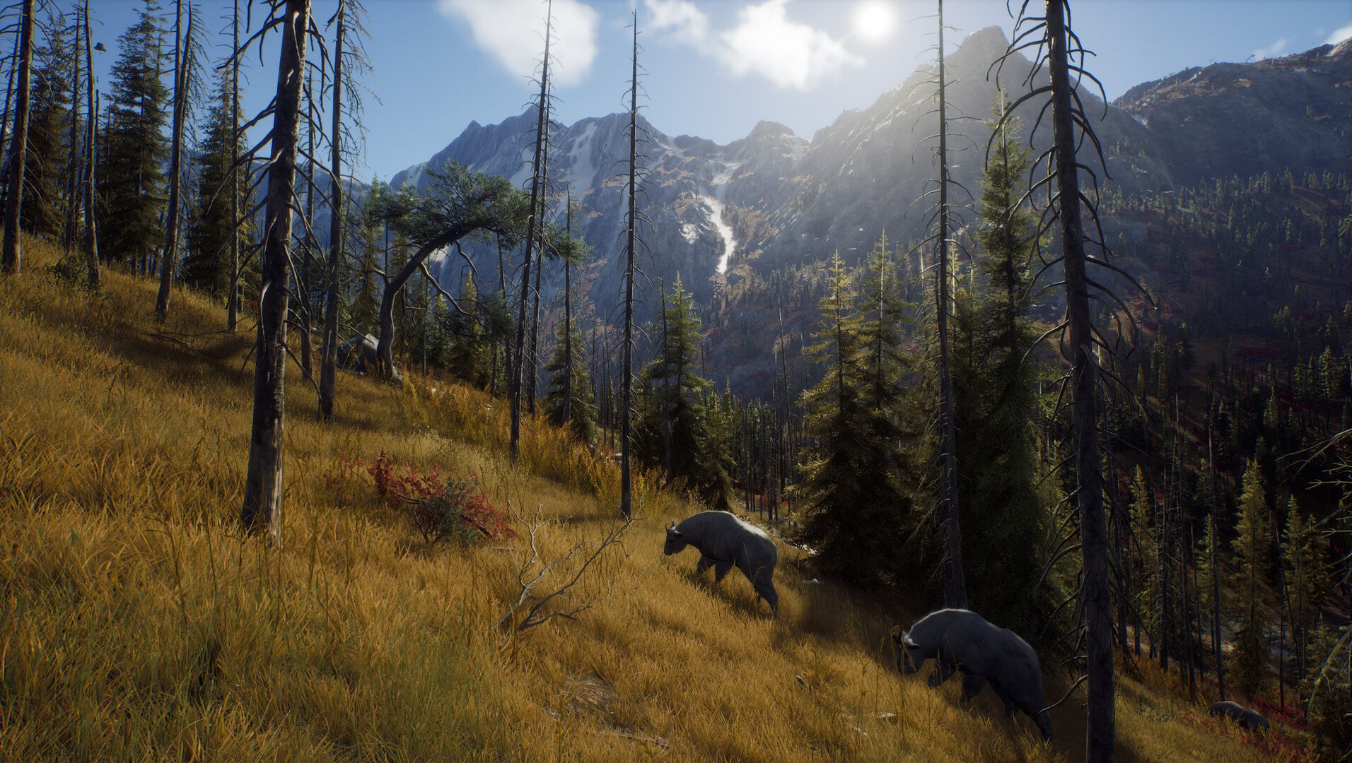 TheHunter Call of the Wild: gameplay, requisitos e mais do jogo de