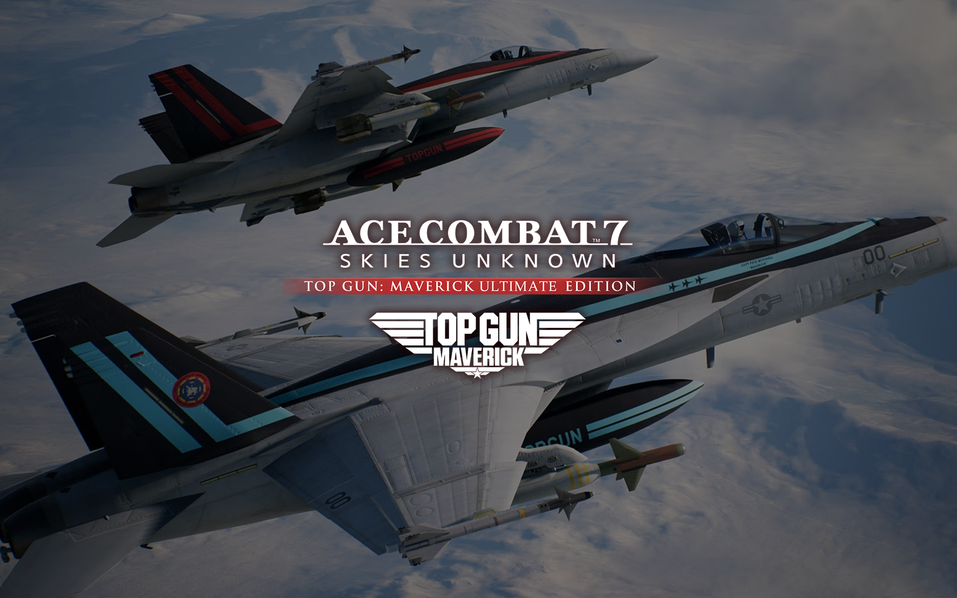 Ace Combat 7: Skies Unknown Top Gun Maverick Edition (PS4) Works in Any  Country